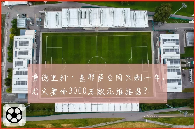 费德里科·基耶萨合同只剩一年,尤文要价3000万欧元谁接盘?