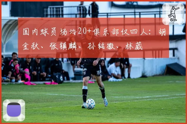 国内球员场均20+俱乐部仅四人：胡金秋、张镇麟、孙铭徽、林葳