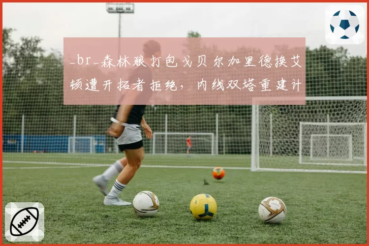 _br_森林狼打包戈贝尔加里德换艾顿遭开拓者拒绝,内线双塔重建计划再陷僵局
