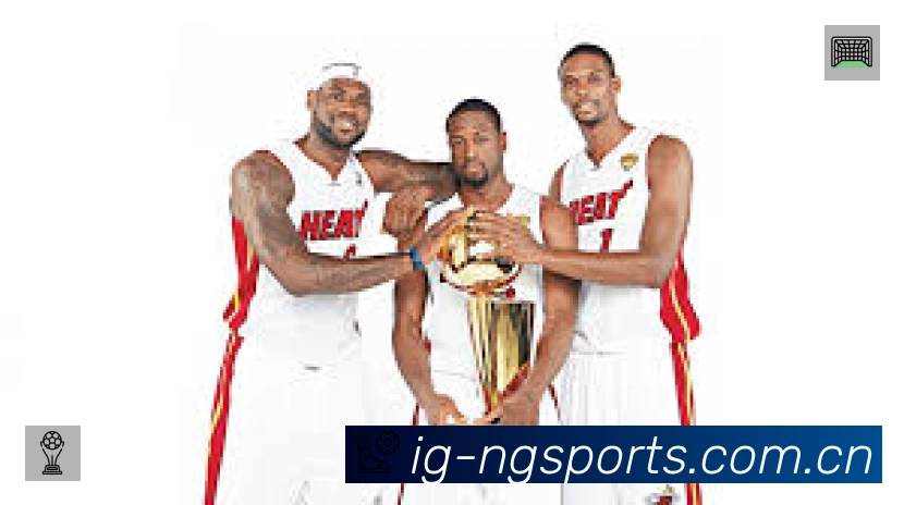 NG体育平台展示图